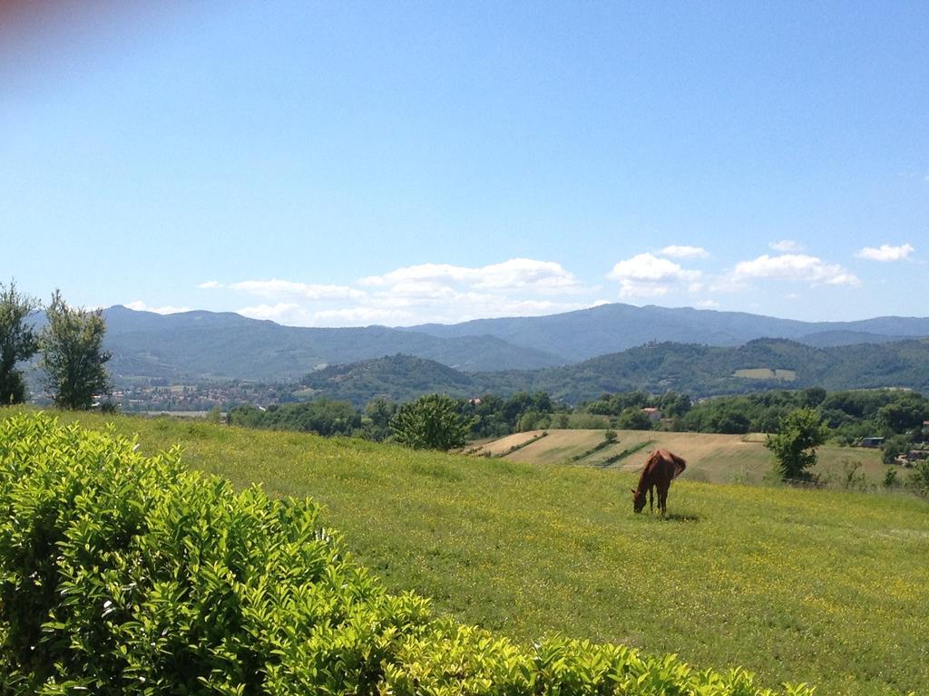 "Villa Bizzi" Monte Castelli 외부 사진