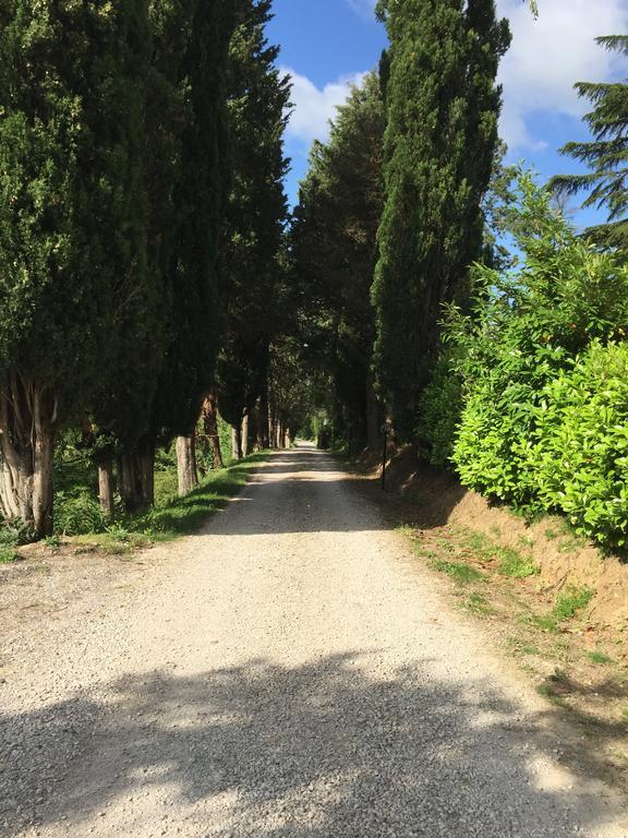 "Villa Bizzi" Monte Castelli 외부 사진