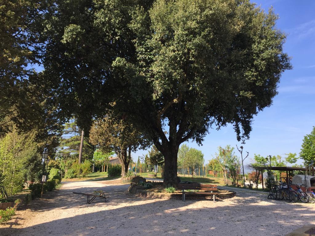 "Villa Bizzi" Monte Castelli 외부 사진